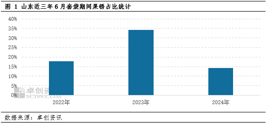 【苹果调研】新季苹果套袋情况简报