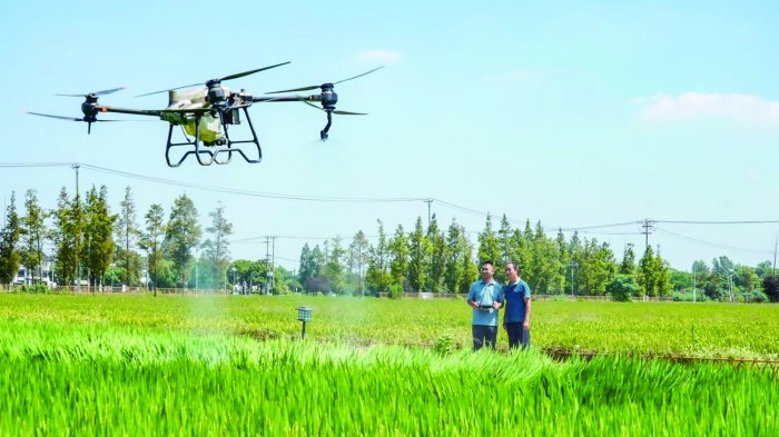 多地前瞻布局 资本火热“带飞” 低空经济大规模应用仍需更多耐心